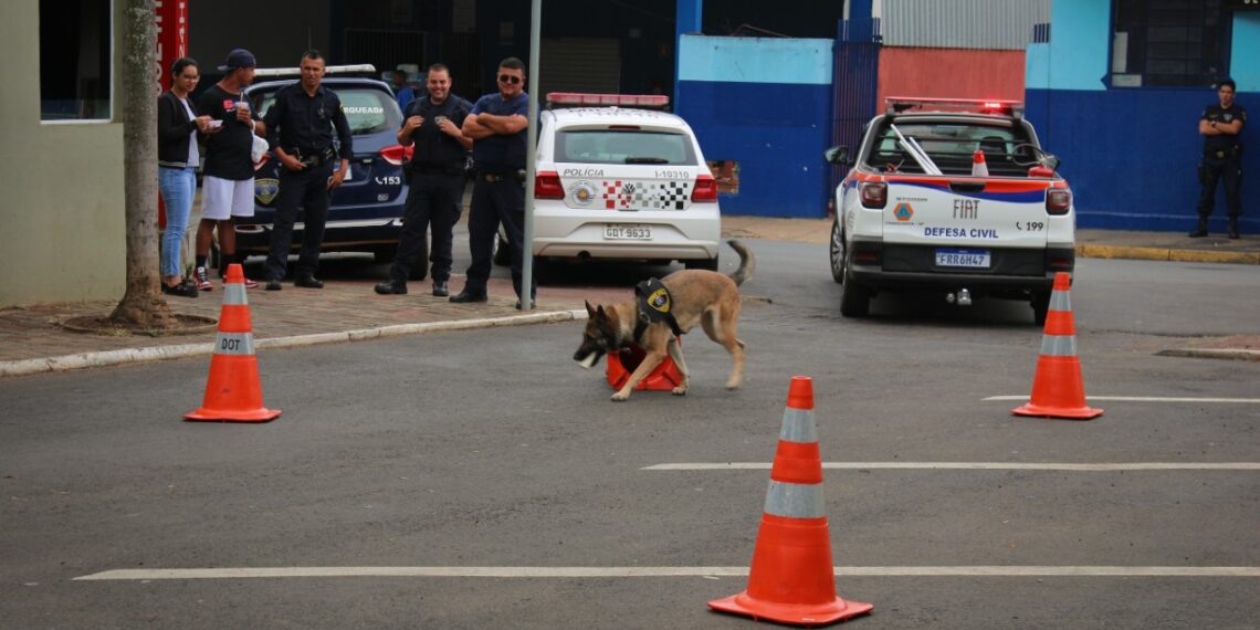 Piracicaba desativa canil da Guarda Civil para reforçar ruas e doará cinco cães; efetivo caiu 21% em 10 anos
