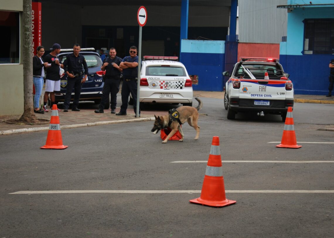 Piracicaba desativa canil da Guarda Civil para reforçar ruas e doará cinco cães; efetivo caiu 21% em 10 anos