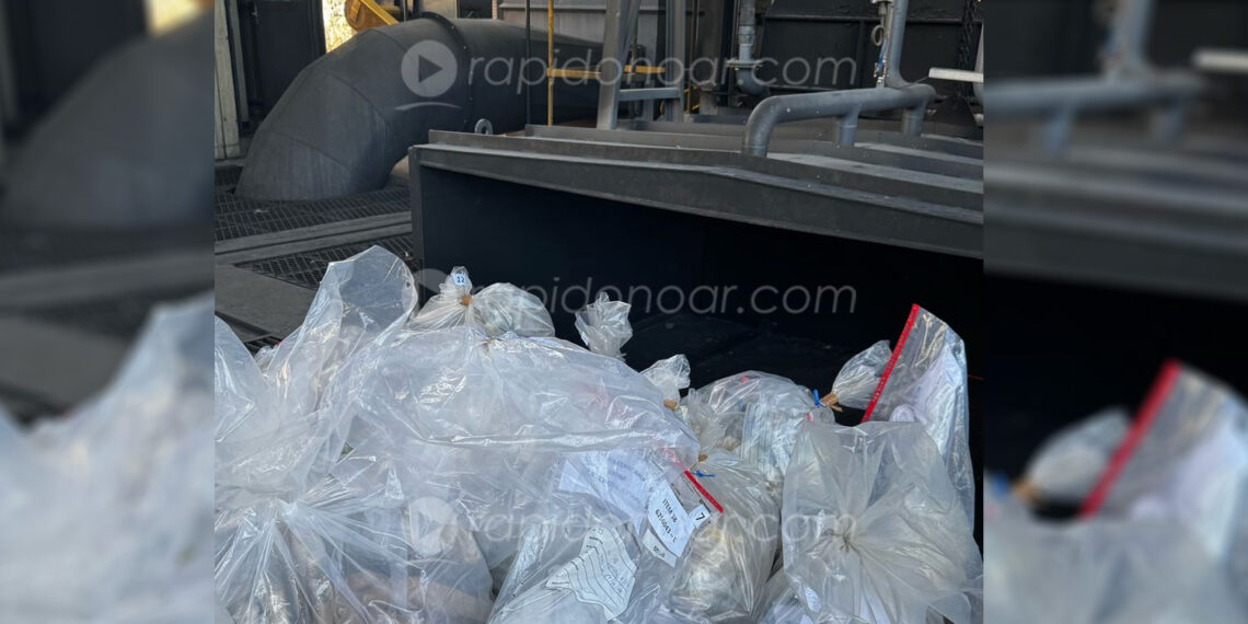 Deic queima 1 tonelada de drogas em Campinas e mira prejuízo ao tráfico