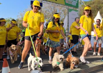 Cãominhada deve reunir famílias e animais de estimação no Parque Taquaral neste domingo