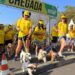 Cãominhada deve reunir famílias e animais de estimação no Parque Taquaral neste domingo