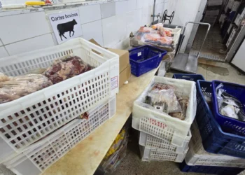 Fiscalização localiza e destrói mais de 400 quilos de alimentos vencidos em Indaiatuba