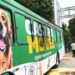 Campinas abre 1,5 mil vagas para castração gratuita de cães e gatos