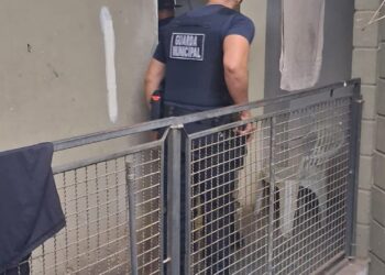 Guarda Municipal lacra mais uma pensão irregular e reforça fiscalização na região central de Campinas