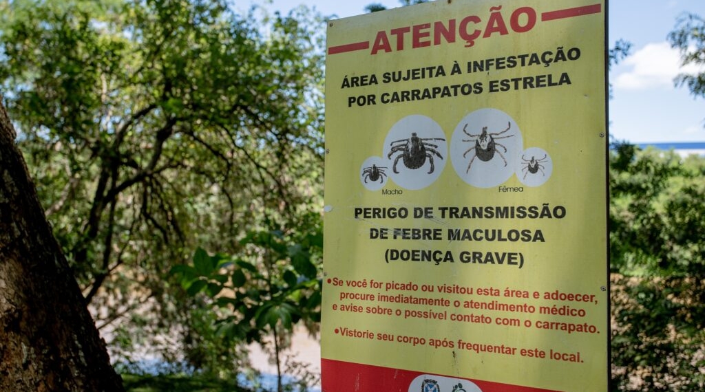 SP está em alerta para Febre Maculosa após 18 mortes em 19 casos; Região de Campinas é considerada de alto risco