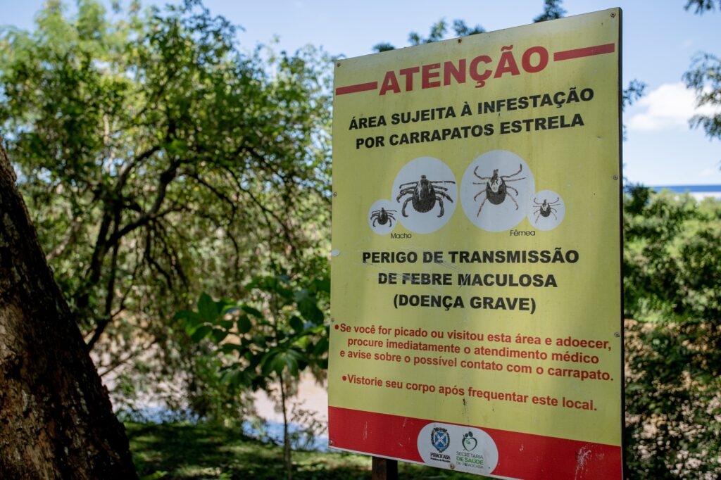 SP está em alerta para Febre Maculosa após 18 mortes em 19 casos; Região de Campinas é considerada de alto risco