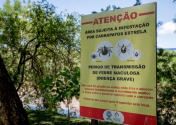 SP está em alerta para Febre Maculosa após 18 mortes em 19 casos; Região de Campinas é considerada de alto risco