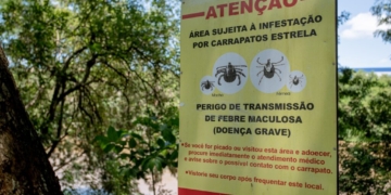SP está em alerta para Febre Maculosa após 18 mortes em 19 casos; Região de Campinas é considerada de alto risco