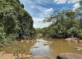 Campinas terá reforço de água do Rio Jaguari a partir de 2029 e abastecimento fica garantido por 50 anos