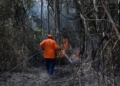 Defesa Civil alerta para risco de incêndios em Campinas com tempo seco e sem chuva
