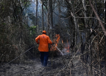 Defesa Civil alerta para risco de incêndios em Campinas com tempo seco e sem chuva