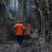 Defesa Civil alerta para risco de incêndios em Campinas com tempo seco e sem chuva