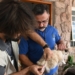 Campinas amplia vacinação antirrábica após caso confirmado de raiva em gata no Cemitério da Saudade
