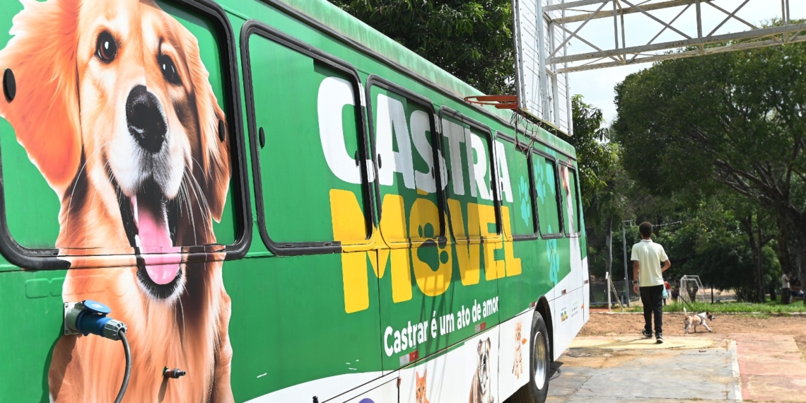 Sumaré oferece 400 vagas para castração gratuita de cães e gatos