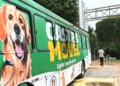 Sumaré oferece 400 vagas para castração gratuita de cães e gatos