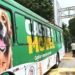Sumaré oferece 400 vagas para castração gratuita de cães e gatos