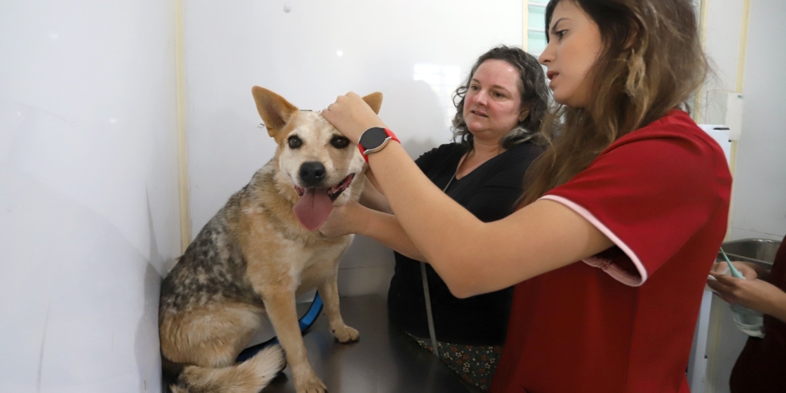 Consultório Veterinário Móvel atende moradores do Campo Belo a partir de terça