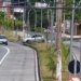 Emdec registra 280 conversões proibidas em cruzamento da Avenida das Amoreiras