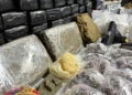 Polícia apreende 69 quilos de maconha em chácara de Campinas