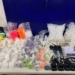 PM prende homem com drogas e balanças no Campos Elíseos, em Campinas