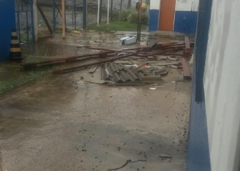 Temporal derruba árvores e danifica escolas e unidade de saúde em Campinas