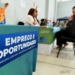 Campinas abre inscrições para empresas participarem de Feirão de Emprego