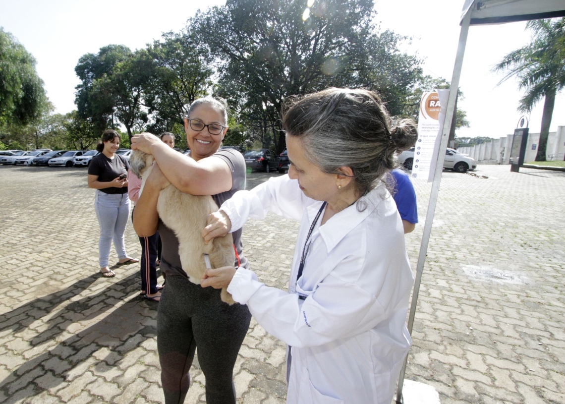 Campinas vacina 64 cães e gatos após caso de raiva no Cemitério da Saudade