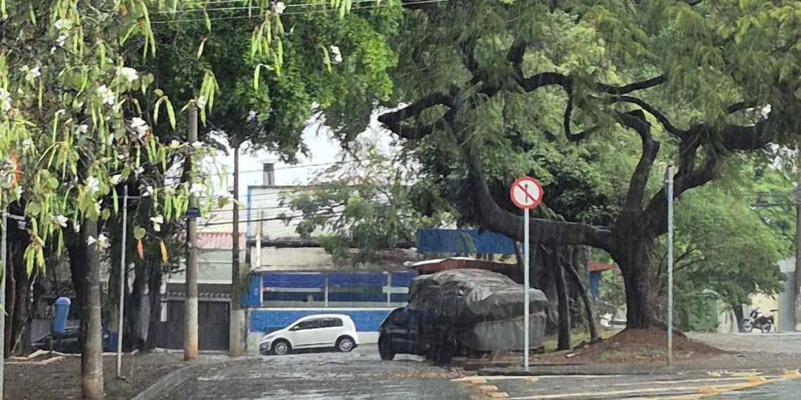 Temporal derruba árvores, destelha imóvel e causa alagamento em Campinas