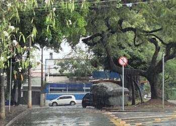 Temporal derruba árvores, destelha imóvel e causa alagamento em Campinas