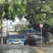 Temporal derruba árvores, destelha imóvel e causa alagamento em Campinas