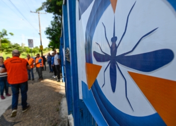 Campinas tem 29 bairros com alto risco de transmissão da dengue