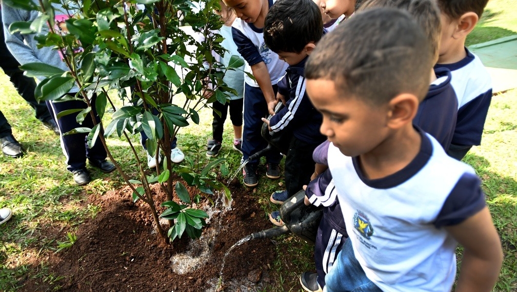 Campinas inicia plantio de 1 mil mudas em 42 escolas municipais