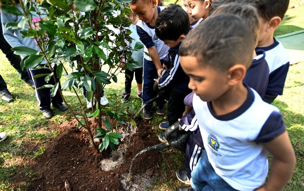 Campinas inicia plantio de 1 mil mudas em 42 escolas municipais