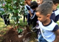 Campinas inicia plantio de 1 mil mudas em 42 escolas municipais