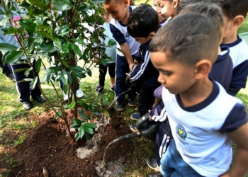 Campinas inicia plantio de 1 mil mudas em 42 escolas municipais