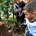 Campinas inicia plantio de 1 mil mudas em 42 escolas municipais