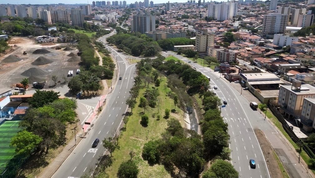 Campinas vai plantar 8,9 mil árvores como compensação por obra de hospital