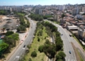 Campinas vai plantar 8,9 mil árvores como compensação por obra de hospital