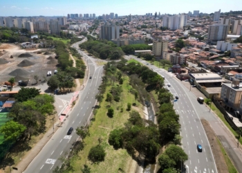 Campinas vai plantar 8,9 mil árvores como compensação por obra de hospital