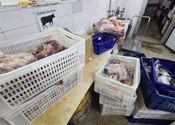 Açougue irregular usava coração de porco e produto químico em carnes