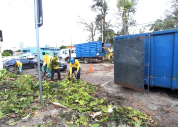 Equipes retiram entulho e galhos após temporal em Campinas