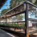 Campinas autoriza dois novos parklets em bares da cidade