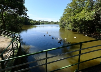 Parque em Barão Geraldo passará a fechar mais cedo após retirada de postes