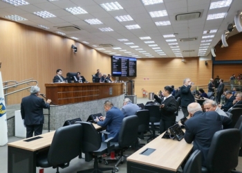 Câmara aprova projetos sobre setor pet e uso de inteligência artificial
