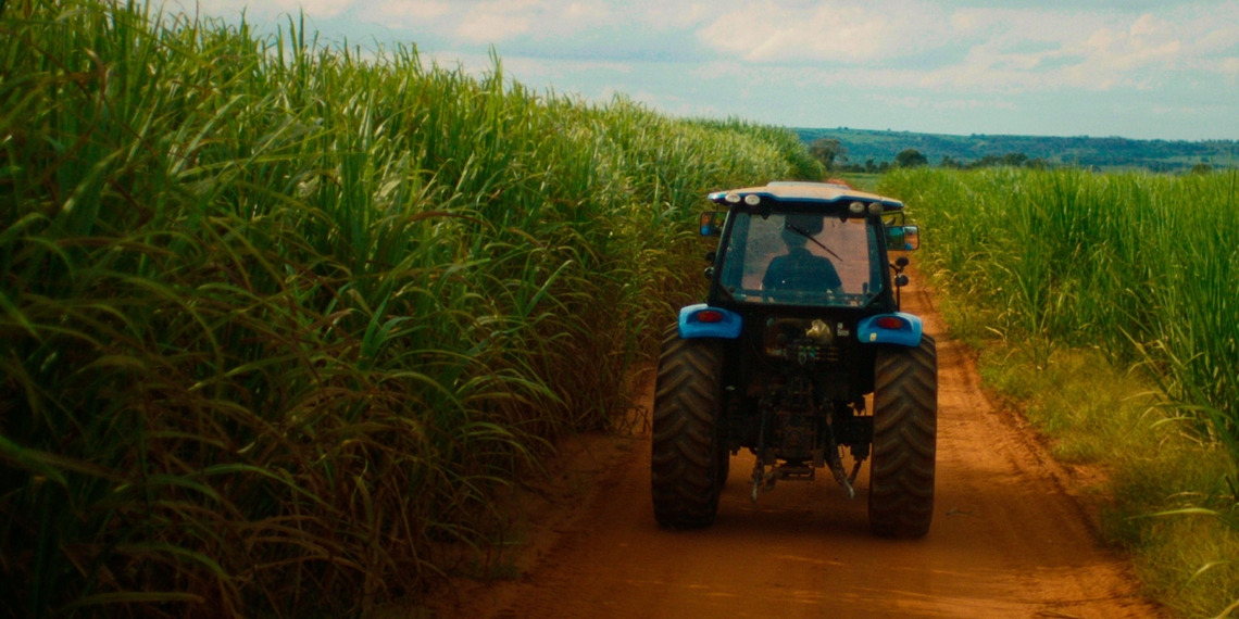 SP reforça ações contra o El Niño para proteger o agronegócio