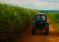 SP reforça ações contra o El Niño para proteger o agronegócio