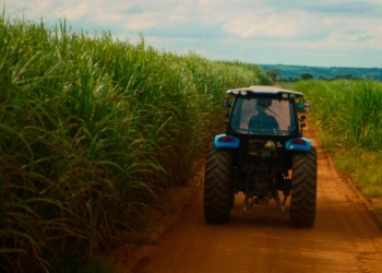 SP reforça ações contra o El Niño para proteger o agronegócio