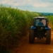SP reforça ações contra o El Niño para proteger o agronegócio