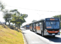Sumaré anuncia transporte público gratuito nas eleições