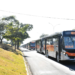 Sumaré anuncia transporte público gratuito nas eleições